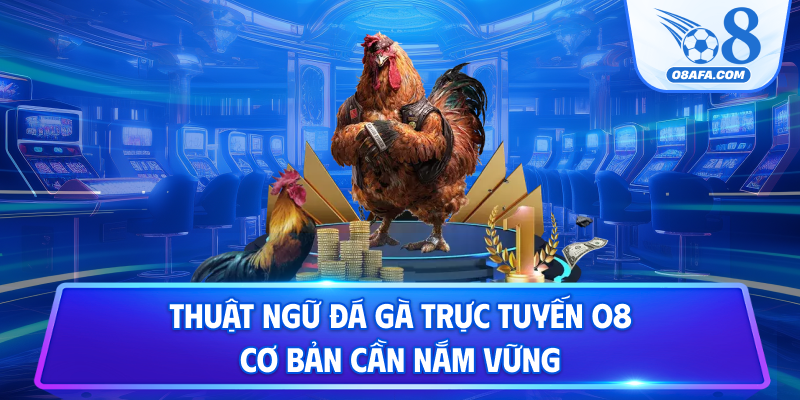 Thuật ngữ đá gà trực tuyến O8 cơ bản cần nắm vững